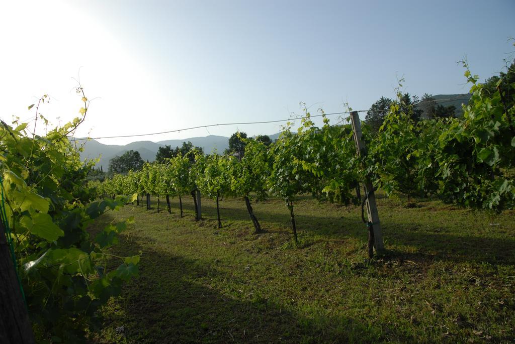 Tenuta Torellone San Potito Sannitico Екстер'єр фото