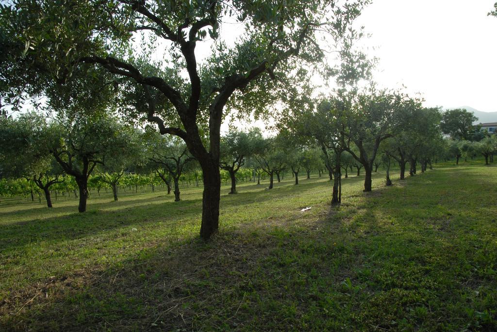 Tenuta Torellone San Potito Sannitico Екстер'єр фото